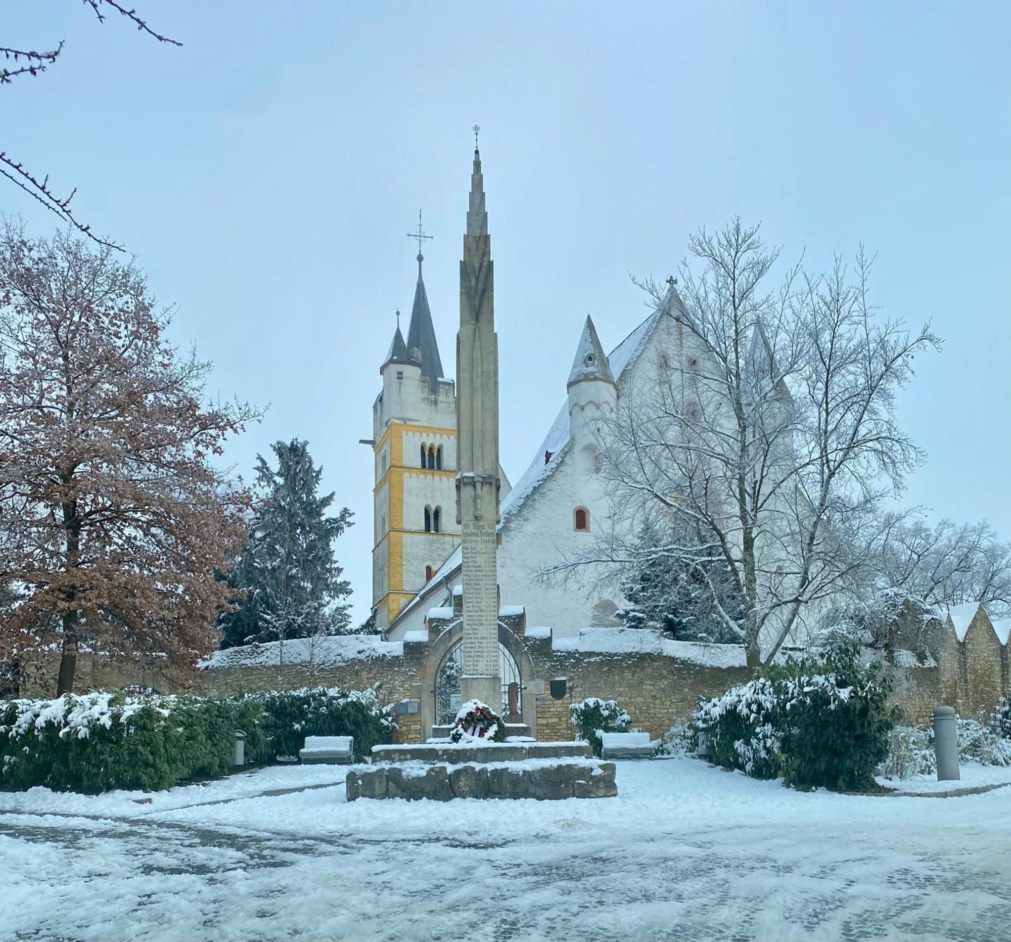 Вилла Haeuschen Am Plenzer Ингельхайм-ам-Райн Экстерьер фото